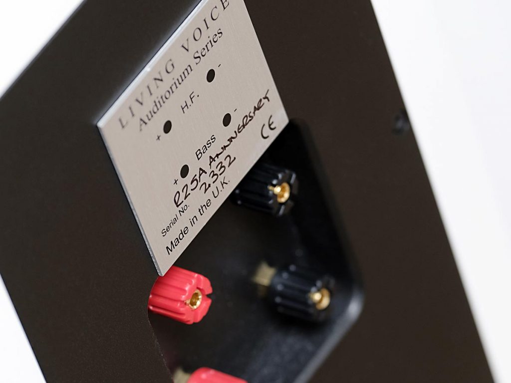 Detailaufnahme des Anschlusspanels der Living Voice R25A in Weiß